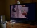 Kermit the Frog Watches Mythbusters
