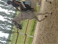 luke et cl3m