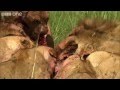 http://www.youtube.com/v/hN0llhH2L0I&feature=player_embedded#!