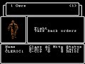 aye, this tool assisted speedrun is from tasvideos.org as usual. i did not make it, etcetera. this game gives me so much trouble. -------------- one of a few dungeon crawlers on this site. the player's team of a couple characters travels through a dungeon at breakneck speed, obtaining the minimum necessary to destroy the evil wizard, then leaving. a great amount of luck-manipulation was required; so much that taotao used a bot to do parts of this run. that's why the rerecord count says 200000. the number of manual rerecords is around 1000.