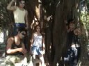 xv a�os video clip el rollo