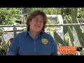 Cynthia Rodriguez Matthews -- California Democrat