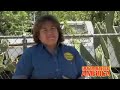Cynthia Rodriguez Matthews -- California Democrat Cynthia Rodriguez Matthews -- California Democrat