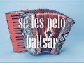 recordando a baltazar   oliver ochoa