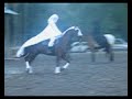 spectacle seigneur des anneaux
