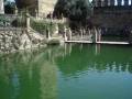 videos de Malaga 2008- cordoba