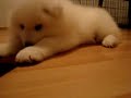 MOV00580 MOV00580