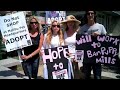 lca protesters watch denise richards take her two children into pet head quarters to play with the puppies. one of the protesters follows her in and videotapes.