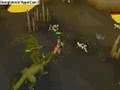 videos de Runescape Dragon Slayer