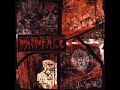 Painface - Fallen Silent (Fleshcraft)