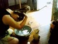 Le Shampoing de Zoé au baquet Le Shampoing de Zoé au baquet