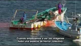 Matanza delfines