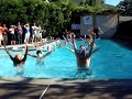 QUAC performs at Utah Aids Foundation fund raiser( AQUA AID)