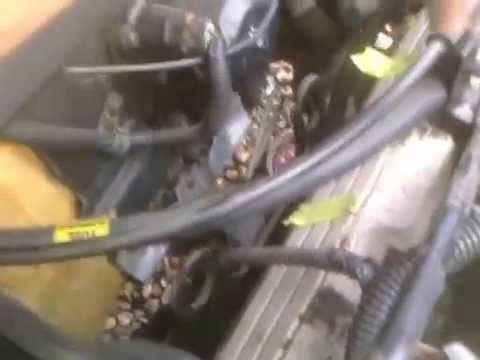 how to replace spark plugs 1993 Oldsmobile Royale