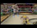 for more information on this game and other wrestling games visit gamingring.com home of the wrestling games database