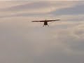 Xair Microlight Take off and Landing