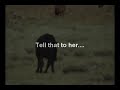 KILL A COW! Save a Prairie Dog...