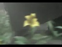 Thumbnail #1