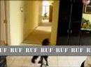 This is Sparta TECHNO REMIX