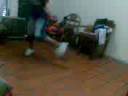 /ahree_flooweer and /tiraameeunaideah bailando electr0 peola