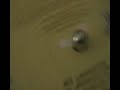  dj three-d mix scratch turntablism hip hop souls of mischief 93'til infinity