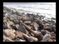 Life After Ike on Galveston Island