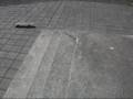 Dagur Óli BMX/Freestyle