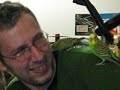Budgie Lessons