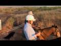 Cattle Mustering - like Nicole Kidman and Hugh Jackman!