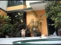 Squeezy odia el timbre - Squeezy hates the doorbell