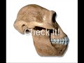 re-proof-evolution-is-an-evil-lie-from-satan-the-devil.html