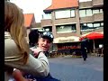 Grijze Panter