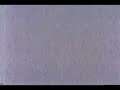 Search Video