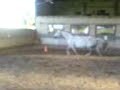 Havane 2