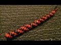 Circle Stitch - Doing the Stitch