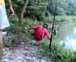pancing iken