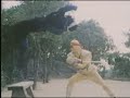 Ninja Strike Force (1988) Final Fight Scene