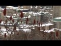 David Martin speaking out against the Canadian seal hunt