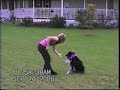 踊る犬動画