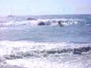 videos Surf
