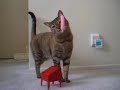 テルミンねこ / Cat &amp; Theremin Mini