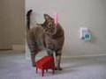 テルミンねこ / Cat & Theremin Mini