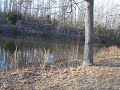 Bass Fishing  5Lb 8 oz on live bait in winter