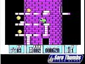 nes nintendo castelian