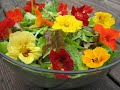 Beauty Food