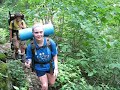 Rocky Path on the Appalchian Trail