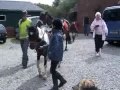 Urlaub auf dem Bauernhof: Ferienhof Peter