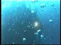 immersioni profonde immersioni profonde