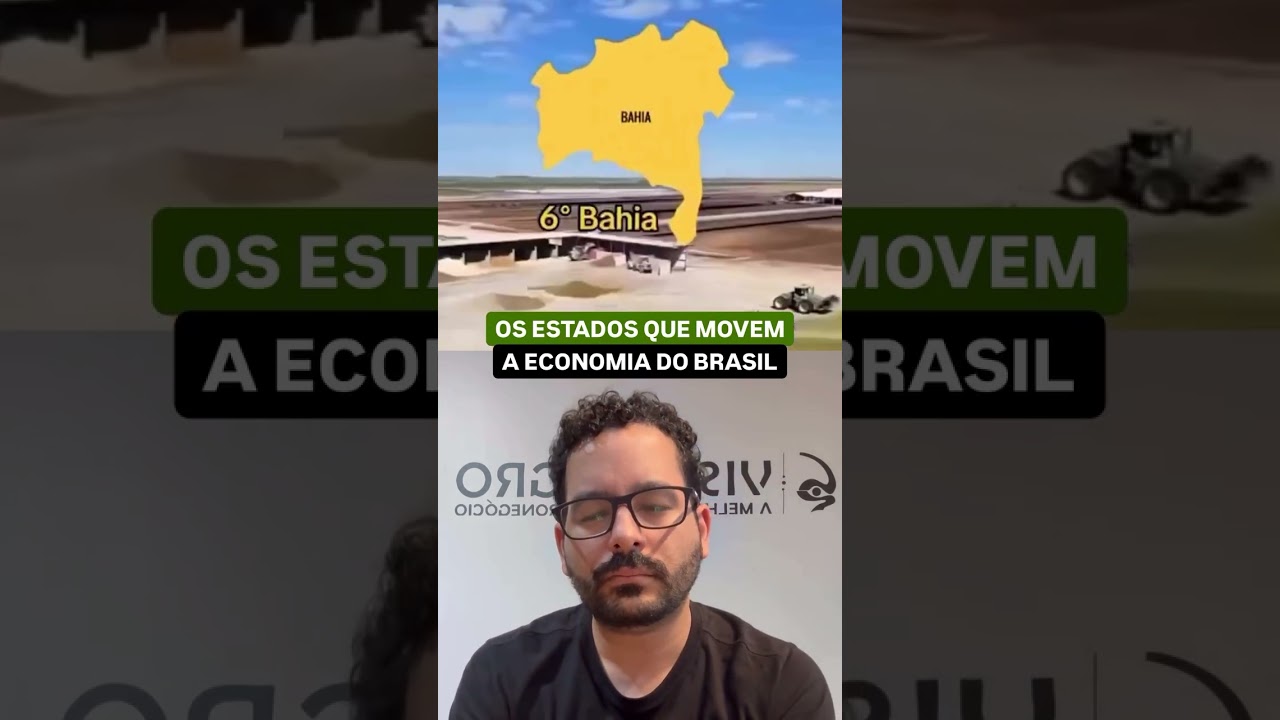 Os 10 estados que fazem o agro brasileiro dominar o mundo 🌎#agronegocio #agrobrasil #economia