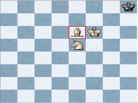 chess knight